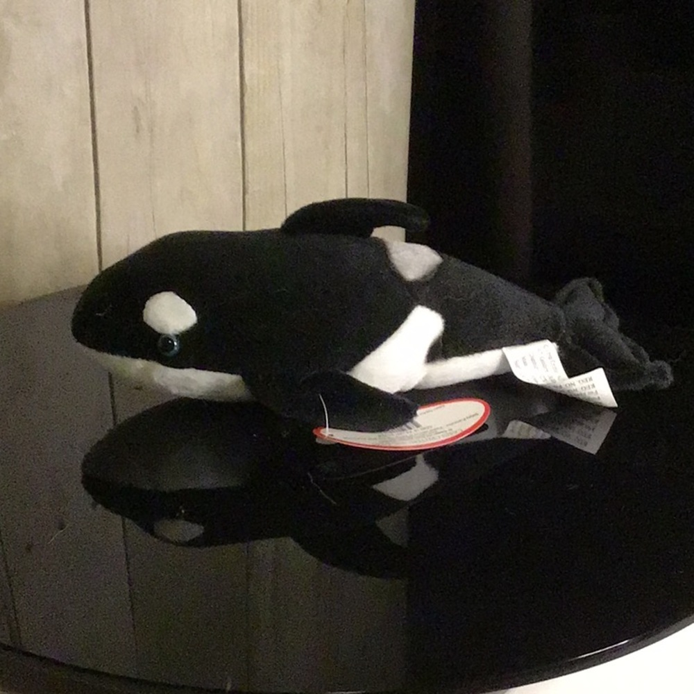 killer whale